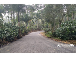 Investment purpose land for sale in Rippon, meppadi @ 15lakh