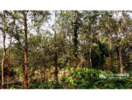 86 cent land for sale in Mananthavady @ 50 lakh
