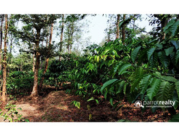 86 cent land for sale in Mananthavady @ 50 lakh