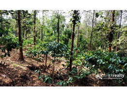 86 cent land for sale in Mananthavady @ 50 lakh