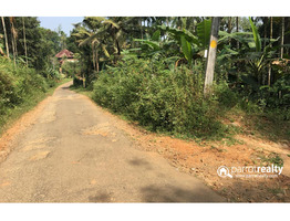 2.24 acre land with 5bhk old house for sale in Kavumannam @ 1 Cr
