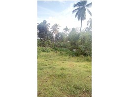 Plot for sale