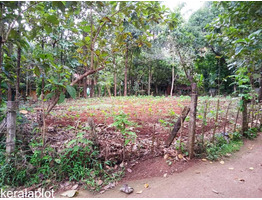 65 cents of Plot in Velur Centre for sale