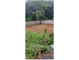6.795 cent Residential Land for Sale in Velappaya, Thrissur,
