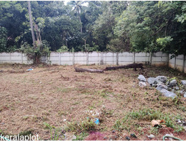 6.795 cent Residential Land for Sale in Velappaya, Thrissur,