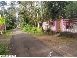 Residential House Villa for Sale in Muthupilakkadu, Sasthamcotta, Kollam