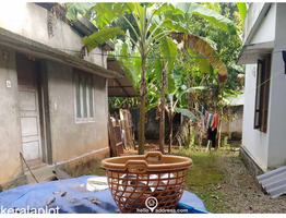 Residential House Villa for Sale in Muthupilakkadu, Sasthamcotta, Kollam