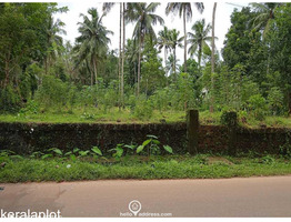 Residential Land for Sale in Aralam Kannur