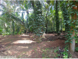 85 Cents plot for sale at Ottapalam