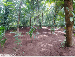 85 Cents plot for sale at Ottapalam