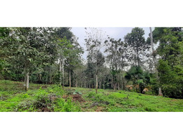 84 CENT GREEN LAND FOR SELLING