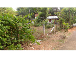 Lands of 15.5 cent for sale in Ollur,Thrissur