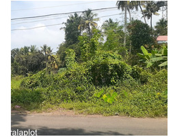 Lands of 39 cent for sale in chiyyaram-Koorkenchery Main Road,Thrissur