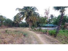 2 acre 21 cent land with cattle shed for sale at para neythala
