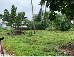 10 Beautiful Residential Plots in different locations for Sale 15 Kilometers from Kochi Airport.