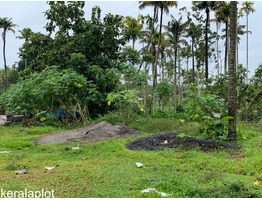 10 Beautiful Residential Plots in different locations for Sale 15 Kilometers from Kochi Airport.