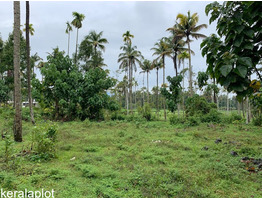 10 Beautiful Residential Plots in different locations for Sale 15 Kilometers from Kochi Airport.