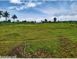 1.12 ACRES OF FARMLAND FOR SALE AT PALAKKAD.