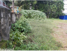 33 cent land sale at  Thanikamukku junction,kollam