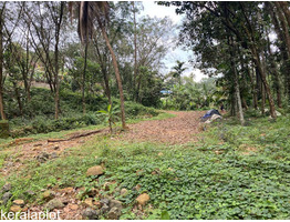 10cent land for sale at  karukachal near NH220 kottayam