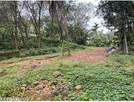 10cent land for sale at  karukachal near NH220 kottayam