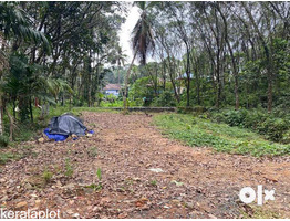 10cent land for sale at  karukachal near NH220 kottayam