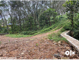 10cent land for sale at  karukachal near NH220 kottayam