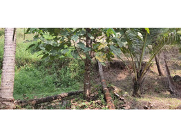 50 Cent  Land  for Sale at kondotty,malappuram