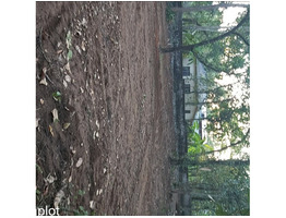 34 cent land for sale at cherummoodu kollam