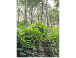 3.64Acers High yeilding Rubber plantation for sale at Kalelimook Pathanamthitta