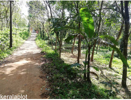 RUSH LAND SALE NEAR THADIYOOR RUBBER ESTATE CHEAP COST