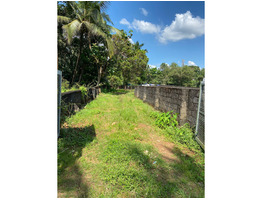 Plots for sale in Angamaly Town