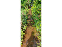 88 cent land for sale at kochupurakalkadav paneli ernakulam