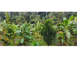 88 cent land for sale at kochupurakalkadav paneli ernakulam