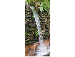 88 cent land for sale at kochupurakalkadav paneli ernakulam