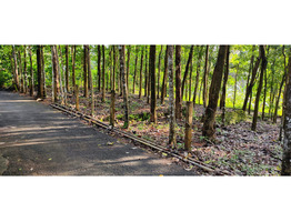 88 cent land for sale at kochupurakalkadav paneli ernakulam