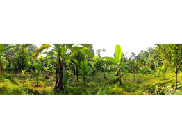 88 cent land for sale at kochupurakalkadav paneli ernakulam