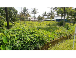 Land for sale in Chiyyaram main road