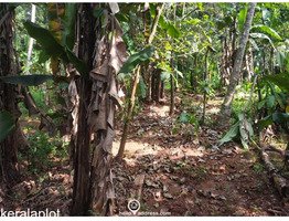 33 cent  Residential Land for Sale in Vizhinjam,  Trivandrum