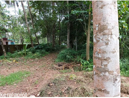 40 cent land for sale at pulimood mavelikara alapuzha