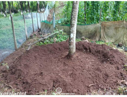 house plot for sale at peravoor kannur