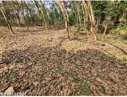 60 cent land for sale at Sasthamcotta District: Kollam