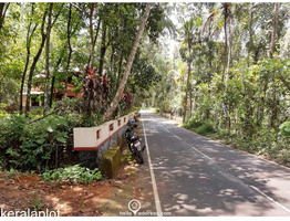 105 cent land for sale at pala kottayam