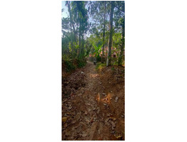 Plot for sale 15 cent