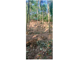 Plot for sale 15 cent