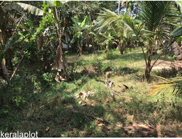 29 cent land for sale at  Kunnumma Alleppey