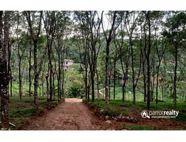 House plots for sale in wayanad @ 40000/CENT