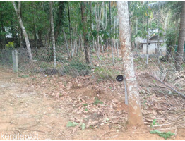 25CENT HOUSE PLOT FOR SALE IN VADAKKENCHERRY,PALAKKAD