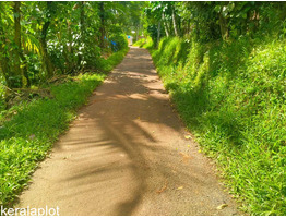 63 cent land for sale at Mananthavady payyambilly wayanad