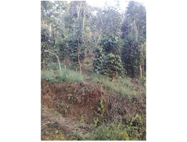 3 acre residential  land for sale in udumbanchola thaluk ,(kalkoonthal village) ,idukki.